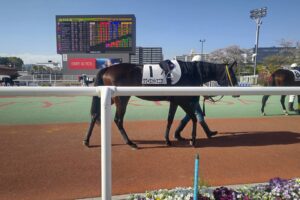 ［連載・クワイトファインプロジェクト］第50回　クワイエットエニフ初出走とプロジェクトの今後