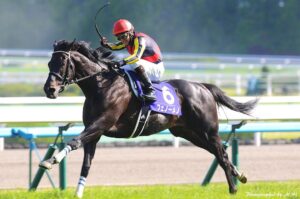 ［青葉賞］ステージチャンプからゴーフォザサミットまで。蛯名正義騎手と青葉賞を制した5頭を振り返る