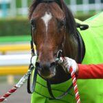 さらばアーリントンカップ、世界のジャスタウェイを輩出した名レースよ!