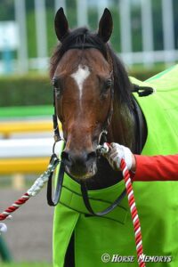 さらばアーリントンカップ、世界のジャスタウェイを輩出した名レースよ!