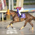 ［インタビュー］名手・吉原騎手が振り返る、ハクサンアマゾネスの蹄跡