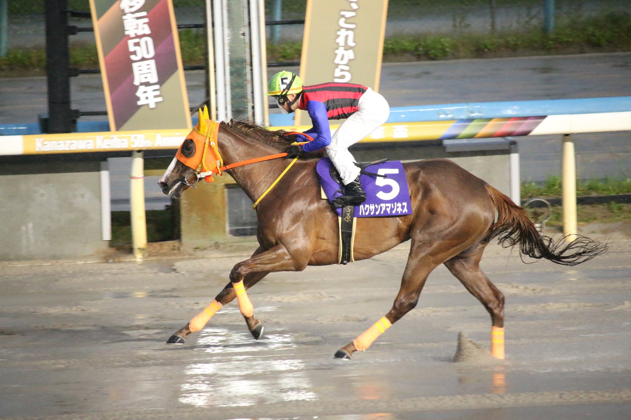 ［インタビュー］名手・吉原騎手が振り返る、ハクサンアマゾネスの蹄跡