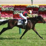 “Mr.ダービー馬”ドゥラメンテとライバルたち/2015年日本ダービー