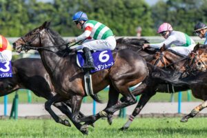 ［重賞回顧］激しい叩き合いを制したヘデントールが、長距離界の頂点を極めるGⅠ初制覇！～2025年・天皇賞（春）～