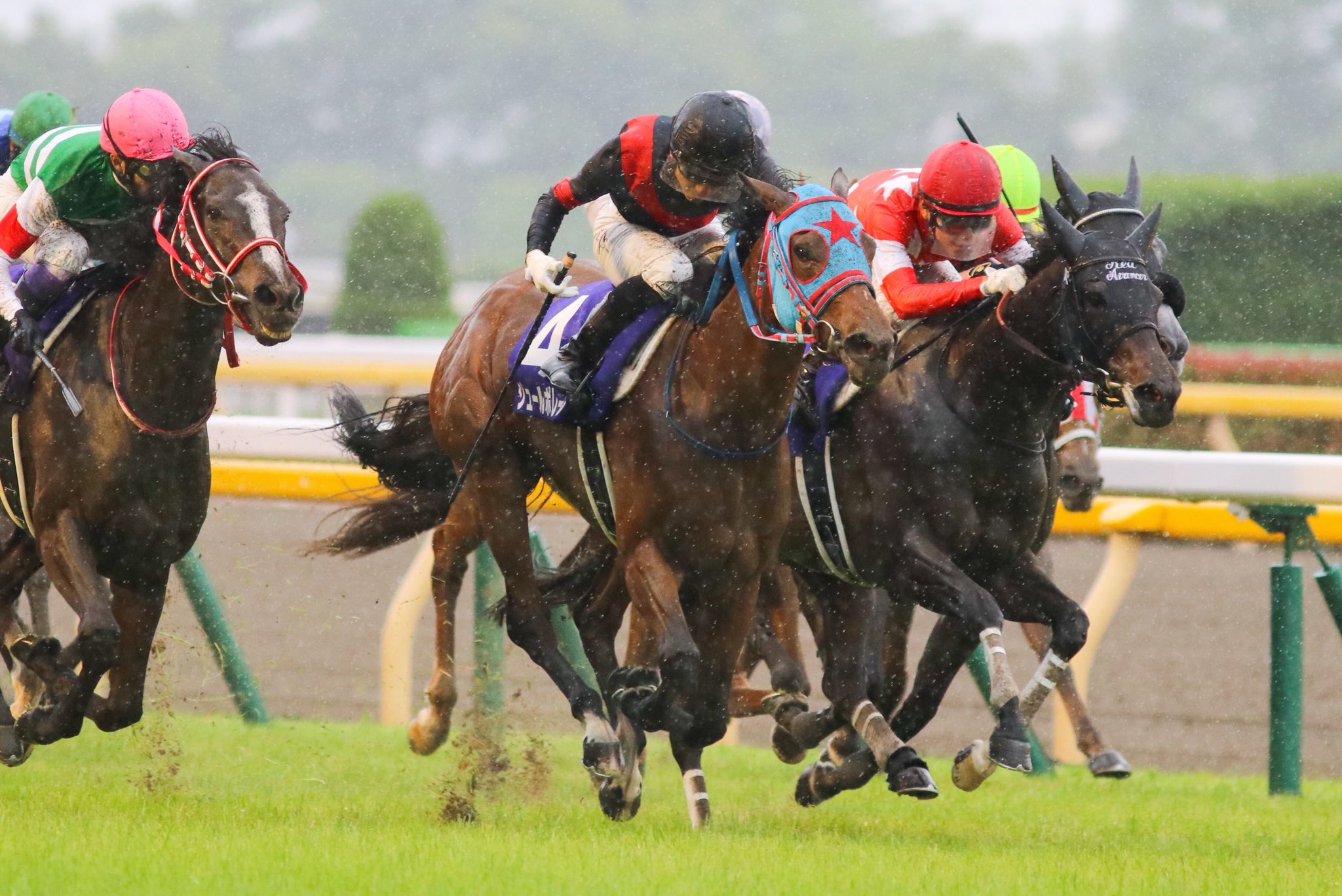 競馬とリンクする、人生の記憶。車中でひっそり応援した、ジュールポレールと幸騎手のヴィクトリアマイル