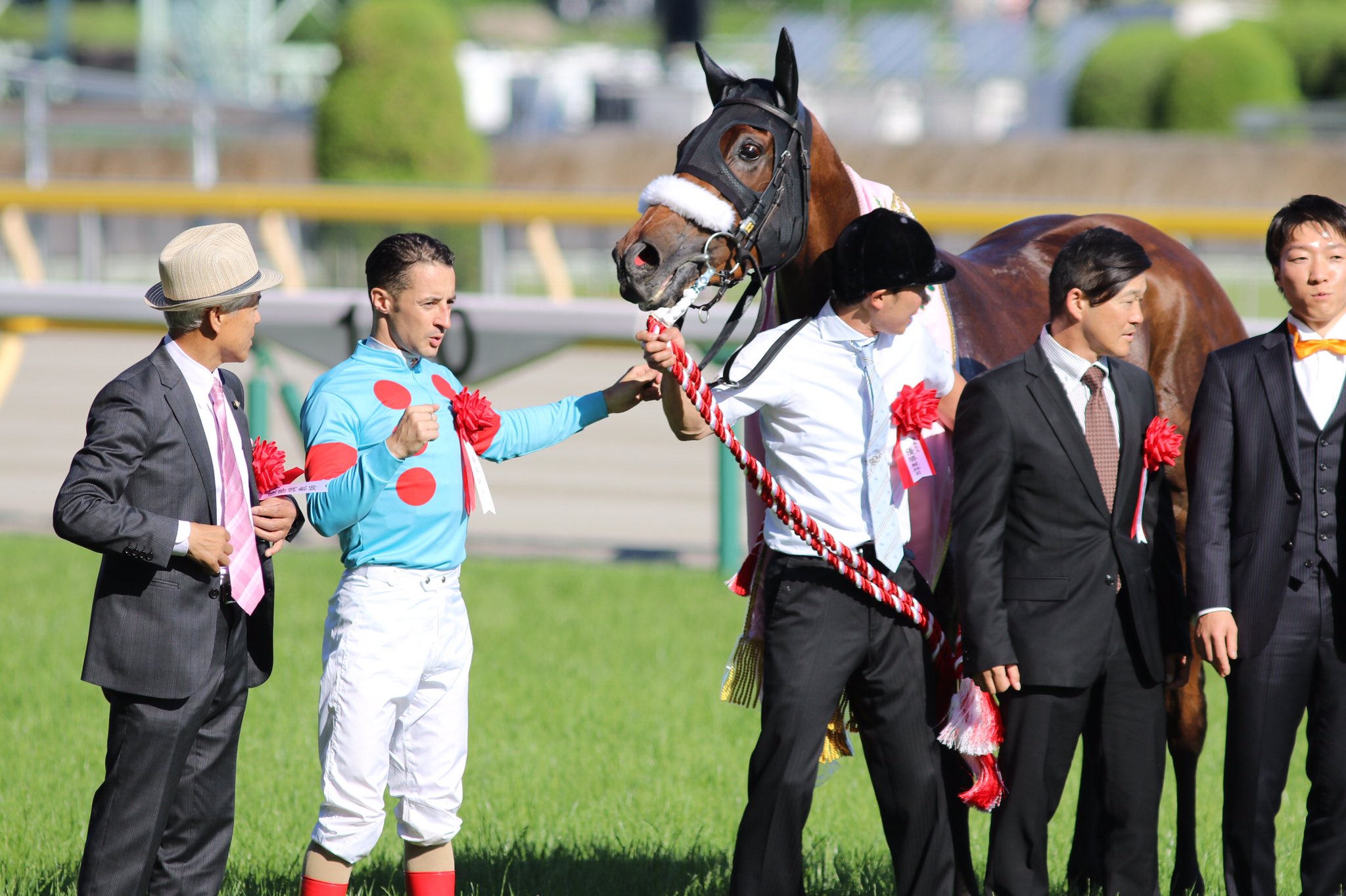 ［一口馬主］一口馬主歴10年以上の私が重視したいもの
