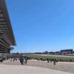 約束された不定形の未来へ。クロワデュノール、ミュージアムマイルらが盛り上げる2025年クラシック