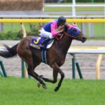 メイショウマンボ - メイショウさんと武幸四郎騎手が掴み取った、忘れられないオークス