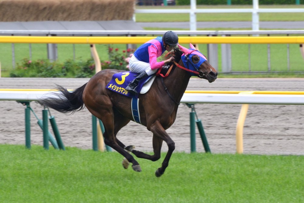 メイショウマンボ - メイショウさんと武幸四郎騎手が掴み取った、忘れられないオークス