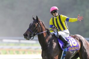 スターズオンアース - 世界が見上げた地上の星