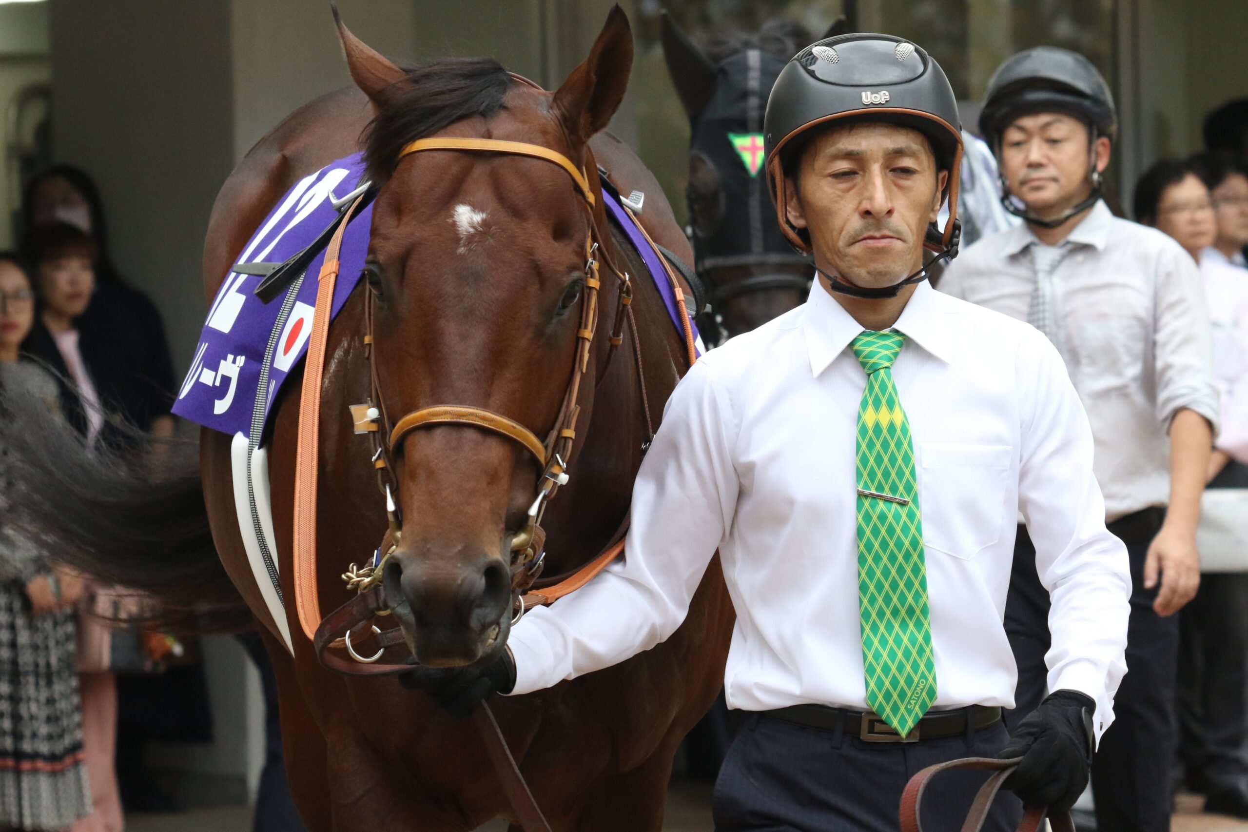 「ようやった、サトノレーヴ!」クイーンエリザベス2世ジュビリーステークスで2着の快挙