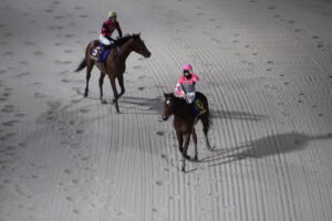 ［連載・片目のサラブレッド福ちゃんのPERFECT DAYS］ミリアッドラヴに重ね合わせる（シーズン1-52）