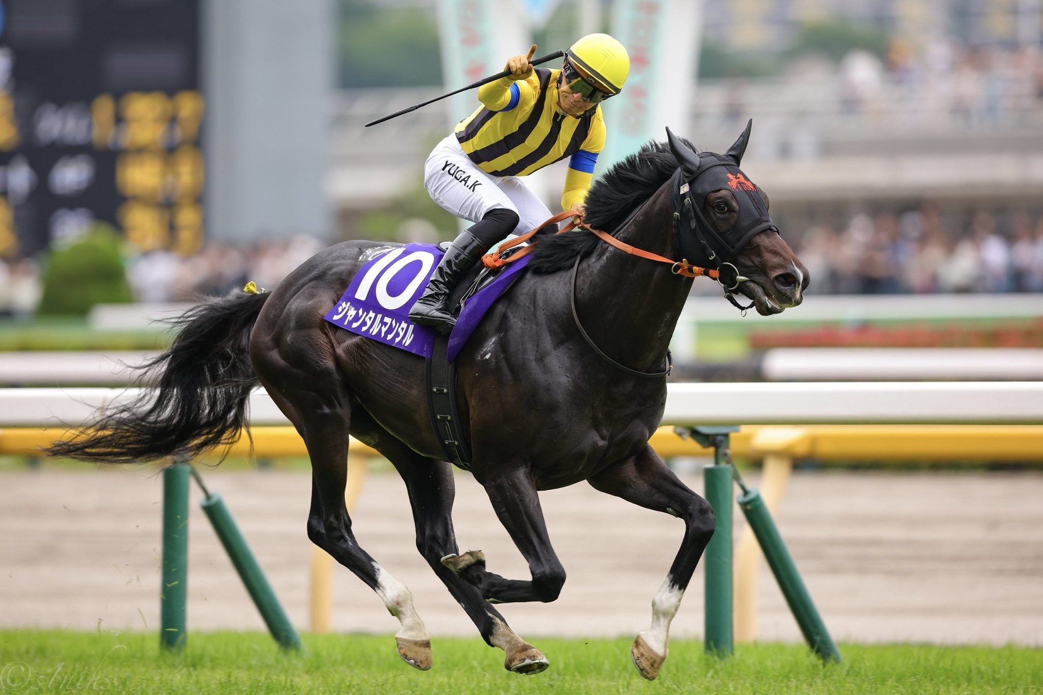 ［重賞回顧］現役最強マイラーから史上最強マイラーへ。早目先頭から危なげなく押し切ったジャンタルマンタルが、3年連続のGⅠ制覇！～2025年・安田記念～
