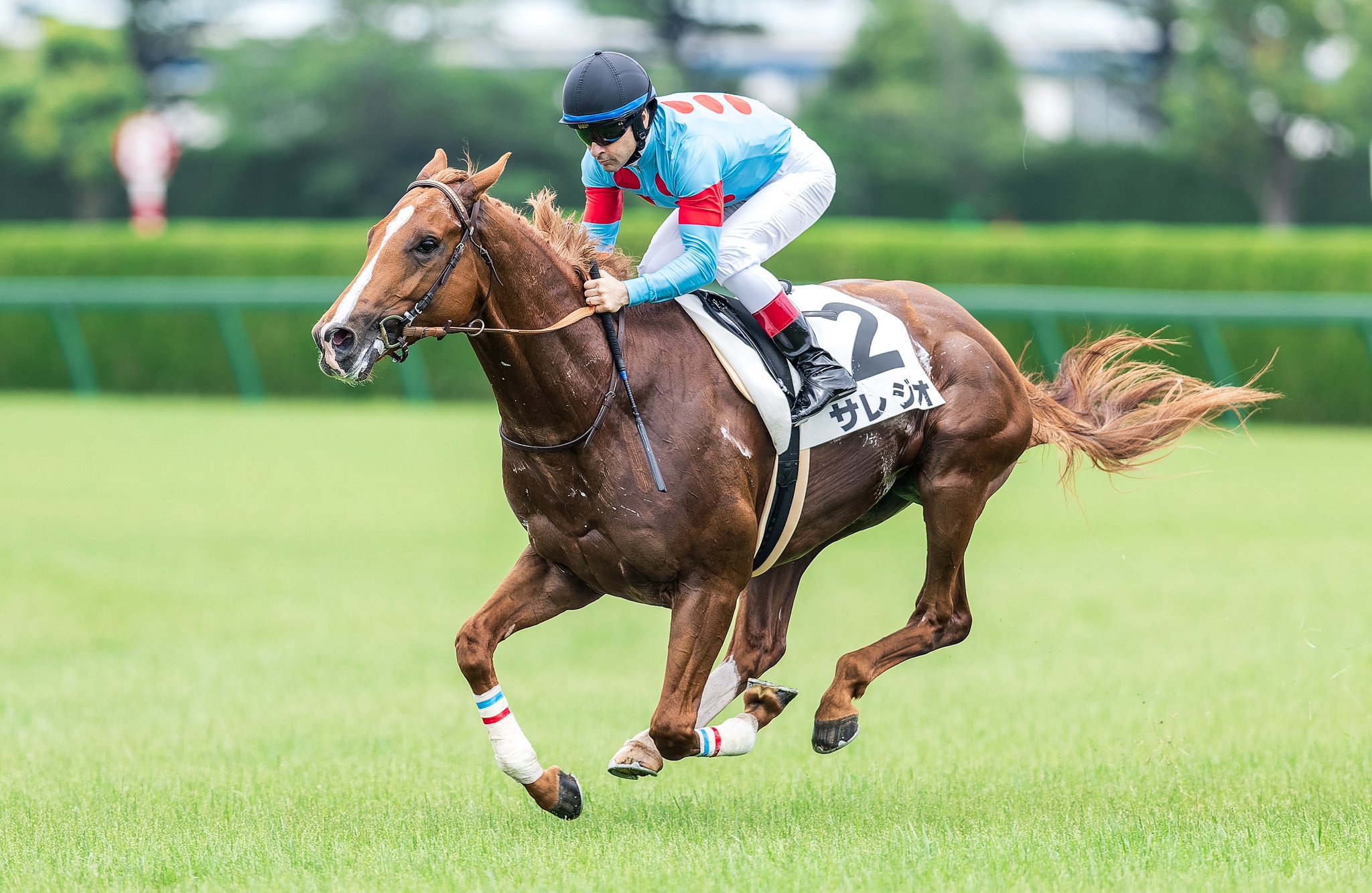 ［新馬戦回顧］メイクデビューの勝者達(2025/06/15)