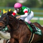 【期限切れ単複馬券】　日本ダービー　2015/5/31 ドゥラメンテ　ウマ娘 61q6GsROlvL._UF350,350_QL50_.jpg