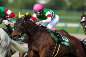 末脚魅惑のディアデラマドレ - 2014年のマーメイドS・府中牝馬Sを振り返る