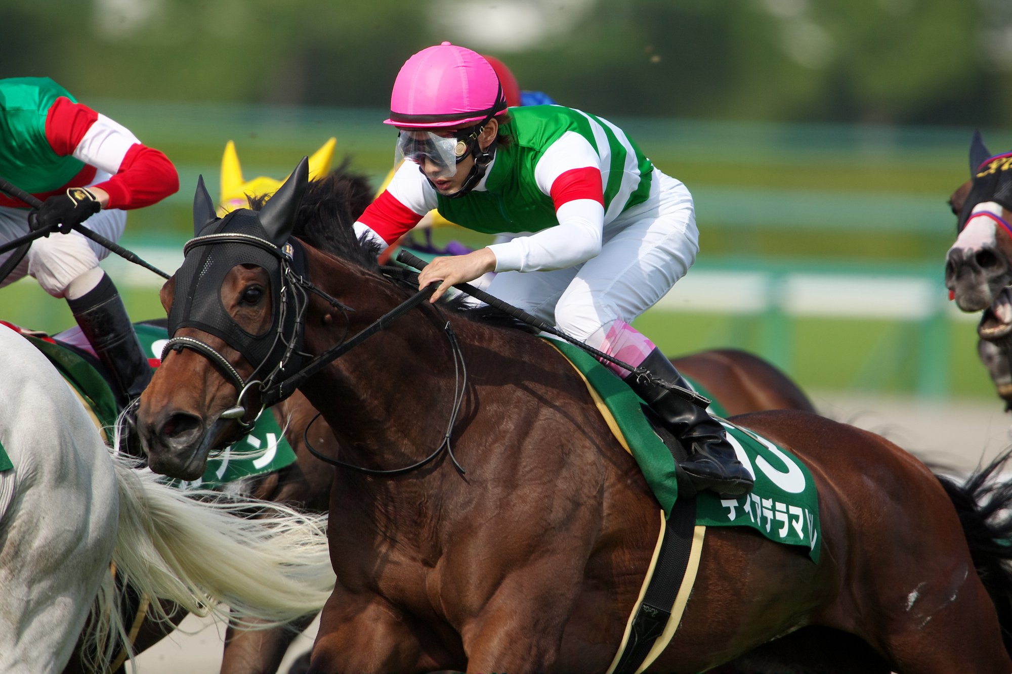 末脚魅惑のディアデラマドレ - 2014年のマーメイドS・府中牝馬Sを振り返る
