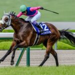 ［今週の競馬］上半期のGⅠ戦線もいよいよフィナーレ！夏の訪れを告げる函館開催もスタート！