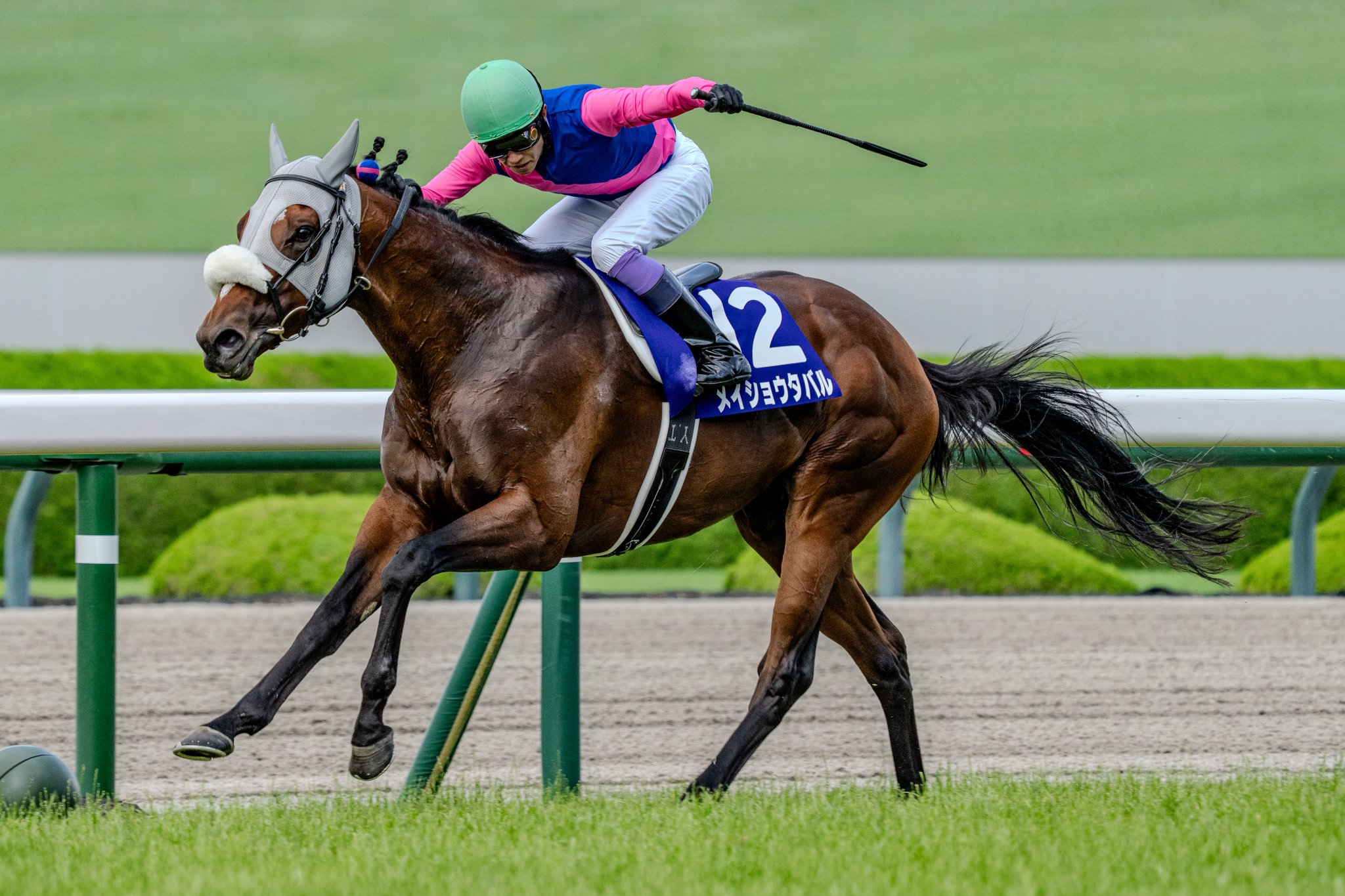 ［今週の競馬］上半期のGⅠ戦線もいよいよフィナーレ！夏の訪れを告げる函館開催もスタート！