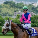 白き衝動、仁川に還る - ゴールドシップとメイショウタバル。宝塚記念、親子制覇を振り返る