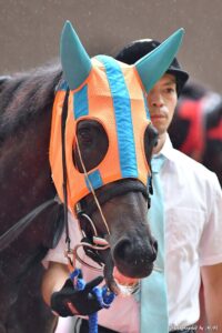 ［府中牝馬S］スマイルトゥモローやコスモネモシン…府中牝馬Sで先手を取り、ファンを沸かせた牝馬たち