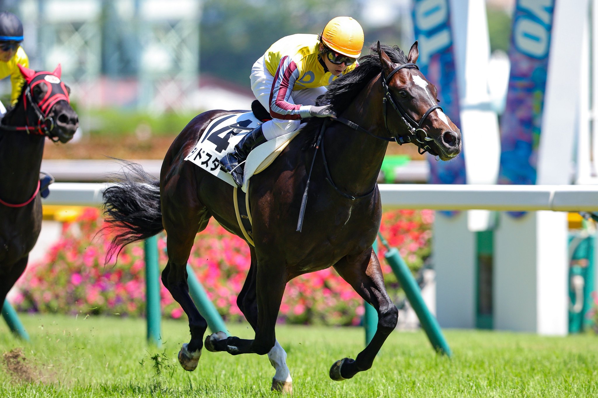 ［新馬戦回顧］メイクデビューの勝者達(2025/06/22)