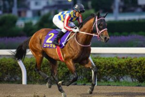［地方レース観戦記］最速で逃げ切れ、雨男シャマル！～2025年・さきたま杯～