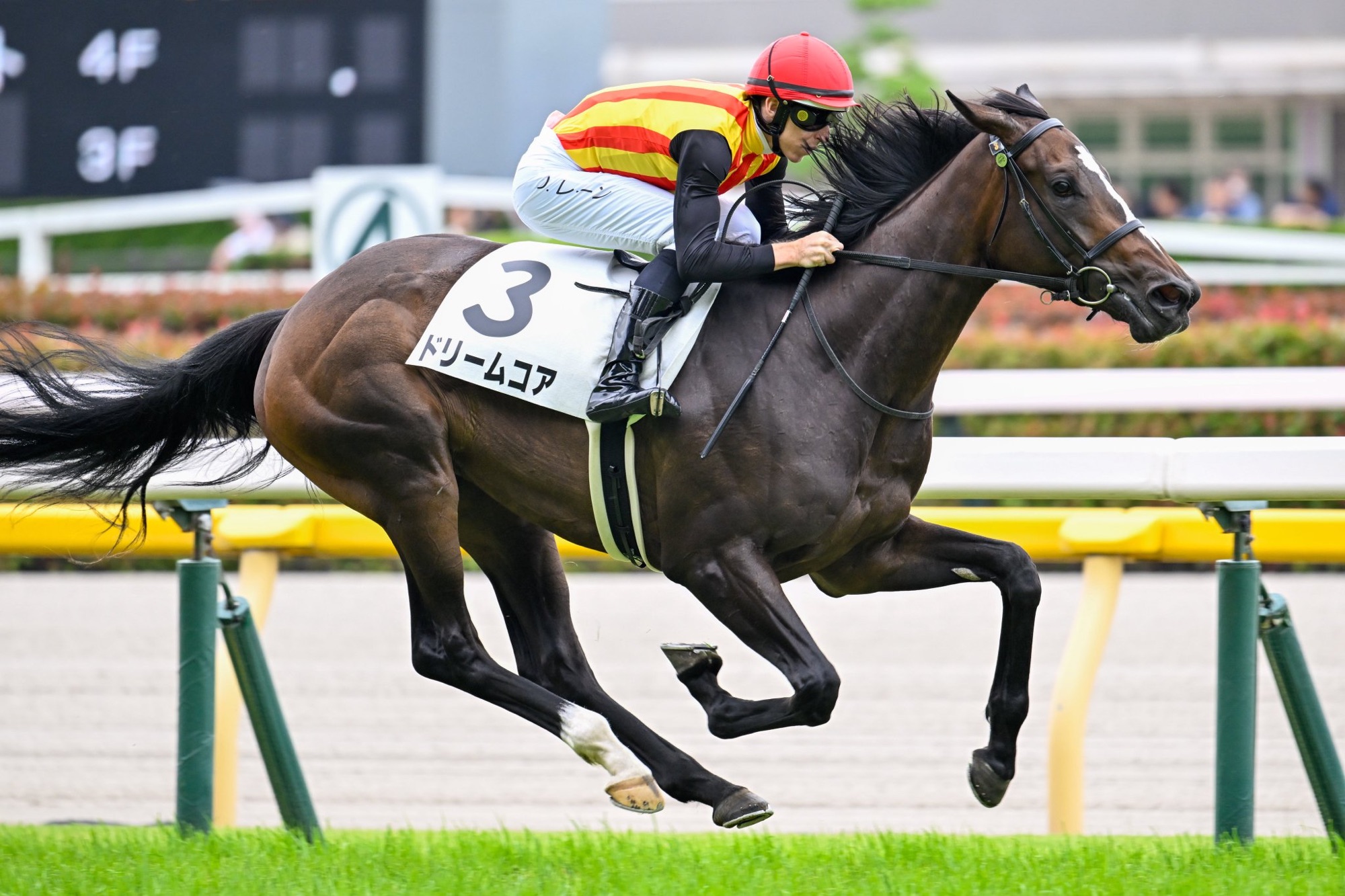 ［新馬戦回顧］メイクデビューの勝者達(2025/06/14)