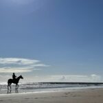 ［連載・片目のサラブレッド福ちゃんのPERFECT DAYS］エルから始まる物語のつづき（シーズン1-57）