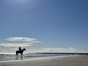 ［連載・片目のサラブレッド福ちゃんのPERFECT DAYS］エルから始まる物語のつづき（シーズン1-57）