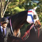 松柏之寿 - 若き日のワンダーアキュート