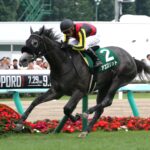 「モノトーンのぬいぐみ馬?」アエロリットが輝いた、2017年クイーンステークス