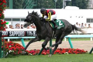 「モノトーンのぬいぐみ馬？」アエロリットが輝いた、２０１７年クイーンステークス