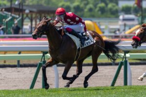 ［新馬戦回顧］メイクデビューの勝者達(2025/06/28)