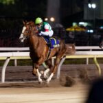 砂塵に消えた黄金の稲妻。短くも輝いた名馬・ゴルトブリッツ