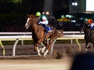 砂塵に消えた黄金の稲妻。短くも輝いた名馬・ゴルトブリッツ