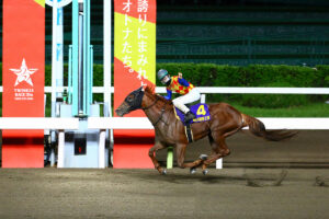 テーオーケインズ - 静かなる灰かぶりの帝王