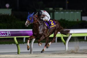 ［地方レース回顧］根性の走りで夏のグランプリ戴冠！～2025年・帝王賞～