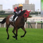1995年、追憶の宝塚記念。ダンツシアトルとライスシャワー、2頭