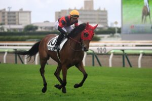 命を落とした彼らへの、静かな祈り - ウマピョイ、スティックバイミー、ネティフラウ、トライデントスピアを悼んで