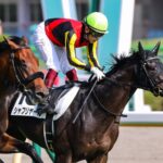 次はどこへ行こうか、シャフリヤール - 空飛ぶダービー馬の種牡馬引退に寄せて