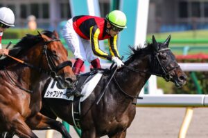 次はどこへ行こうか、シャフリヤール - 空飛ぶダービー馬の種牡馬引退に寄せて