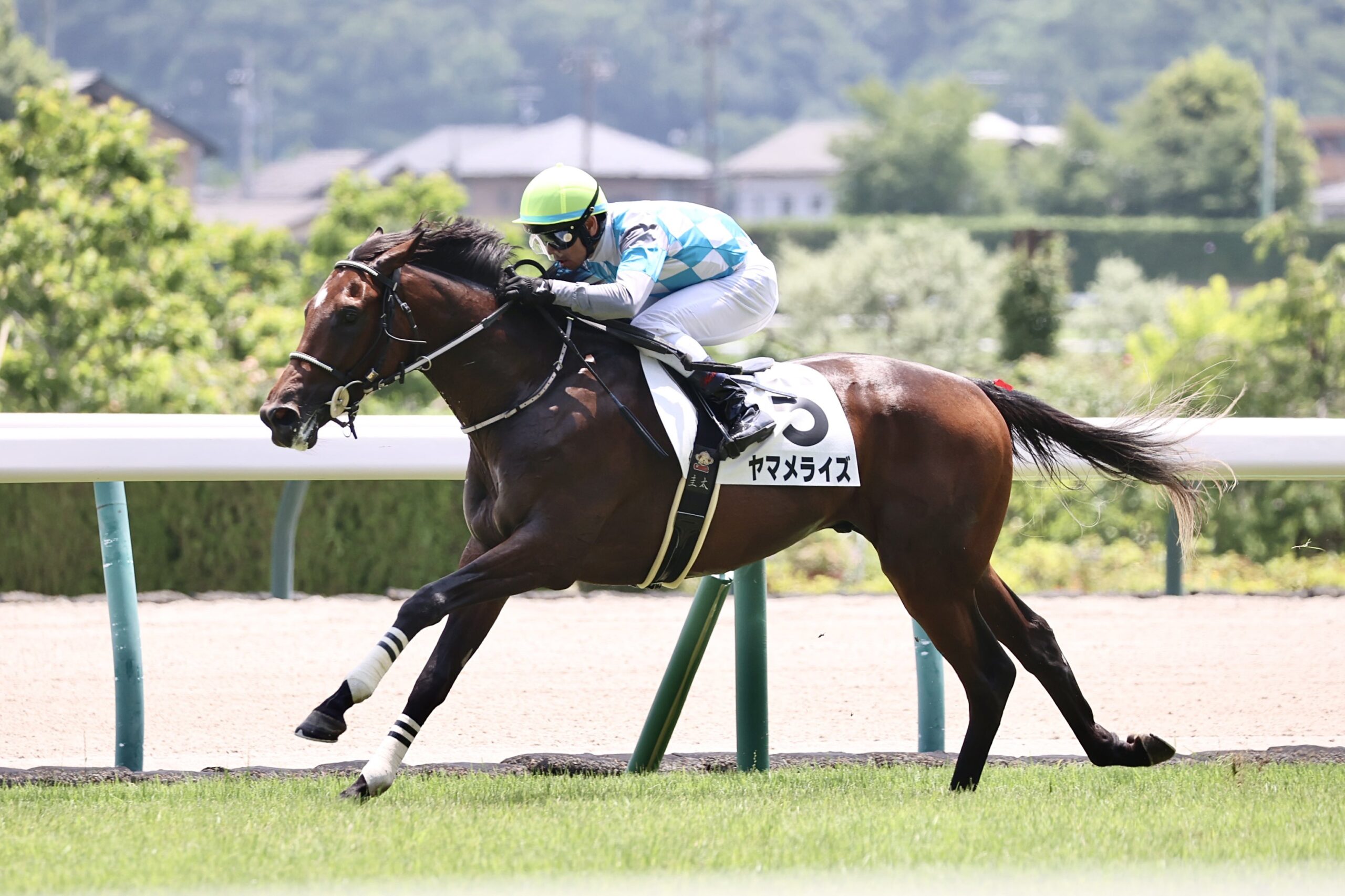 ［新馬戦回顧］メイクデビューの勝者達(2025/07/05)