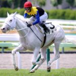 白き「道」を駆けて。マルガ、未来への第一歩を踏み出す