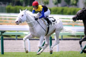 白き「道」を駆けて。マルガ、未来への第一歩を踏み出す