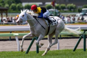 ［新馬戦回顧］メイクデビューの勝者達(2025/07/12)