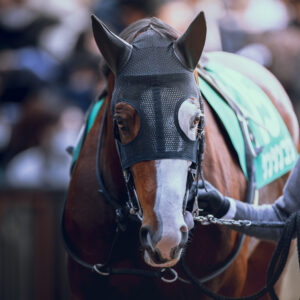 父パイロへ、そして自身の名へ、果たした「義」。ケンシンコウの現役時代を振り返る