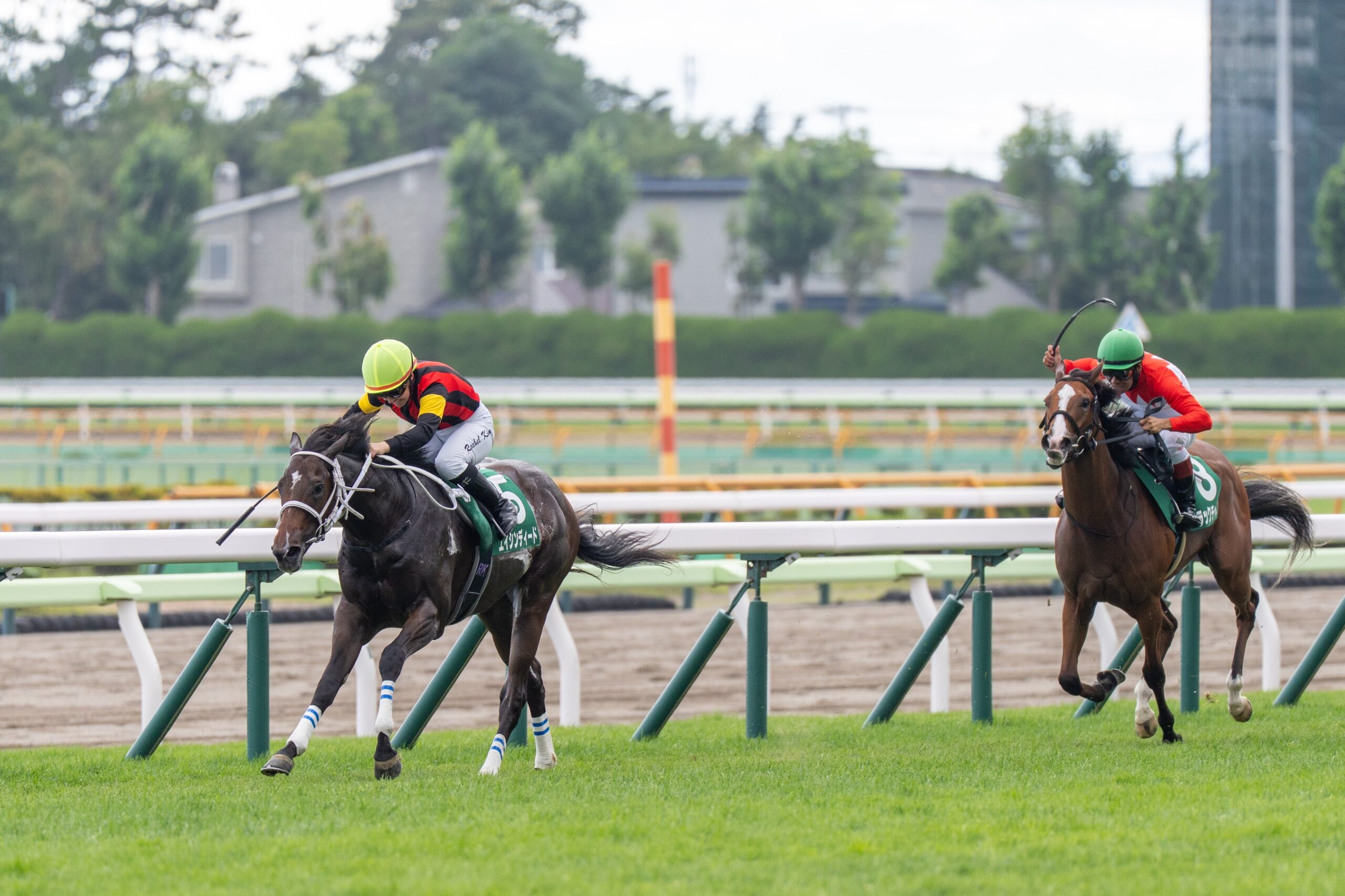 ［今週の競馬］函館、福島、小倉の夏開催は今週まで！2歳世代初の重賞、サマー2000シリーズ第3戦が開催！
