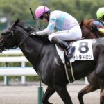［新馬戦回顧］メイクデビューの勝者達(2025/07/19)