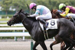 ［新馬戦回顧］メイクデビューの勝者達(2025/07/19)